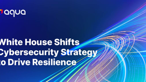 ホワイトハウスがサイバーセキュリティ戦略を転換：レジリエンス(回復力)を高める #aqua #セキュリティ #ソフトウェアサプライチェーン #sscs