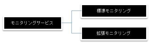 Preview-monitoring-2